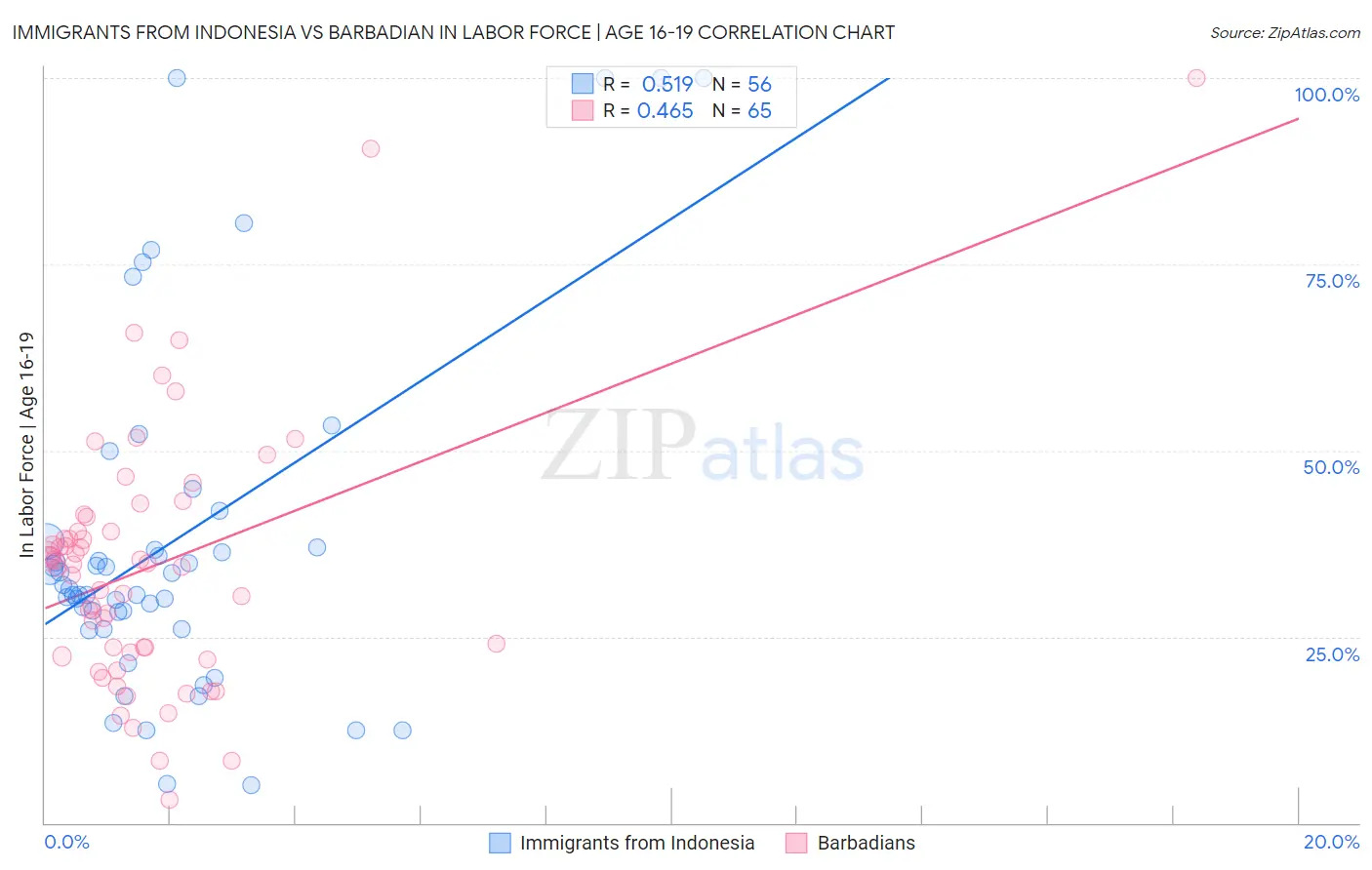 Immigrants from Indonesia vs Barbadian In Labor Force | Age 16-19