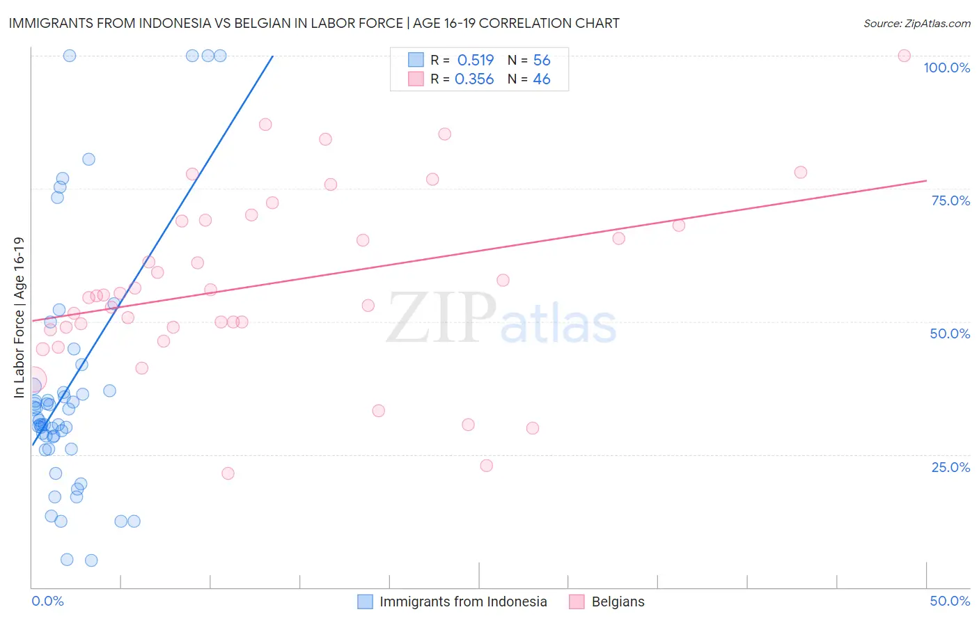 Immigrants from Indonesia vs Belgian In Labor Force | Age 16-19