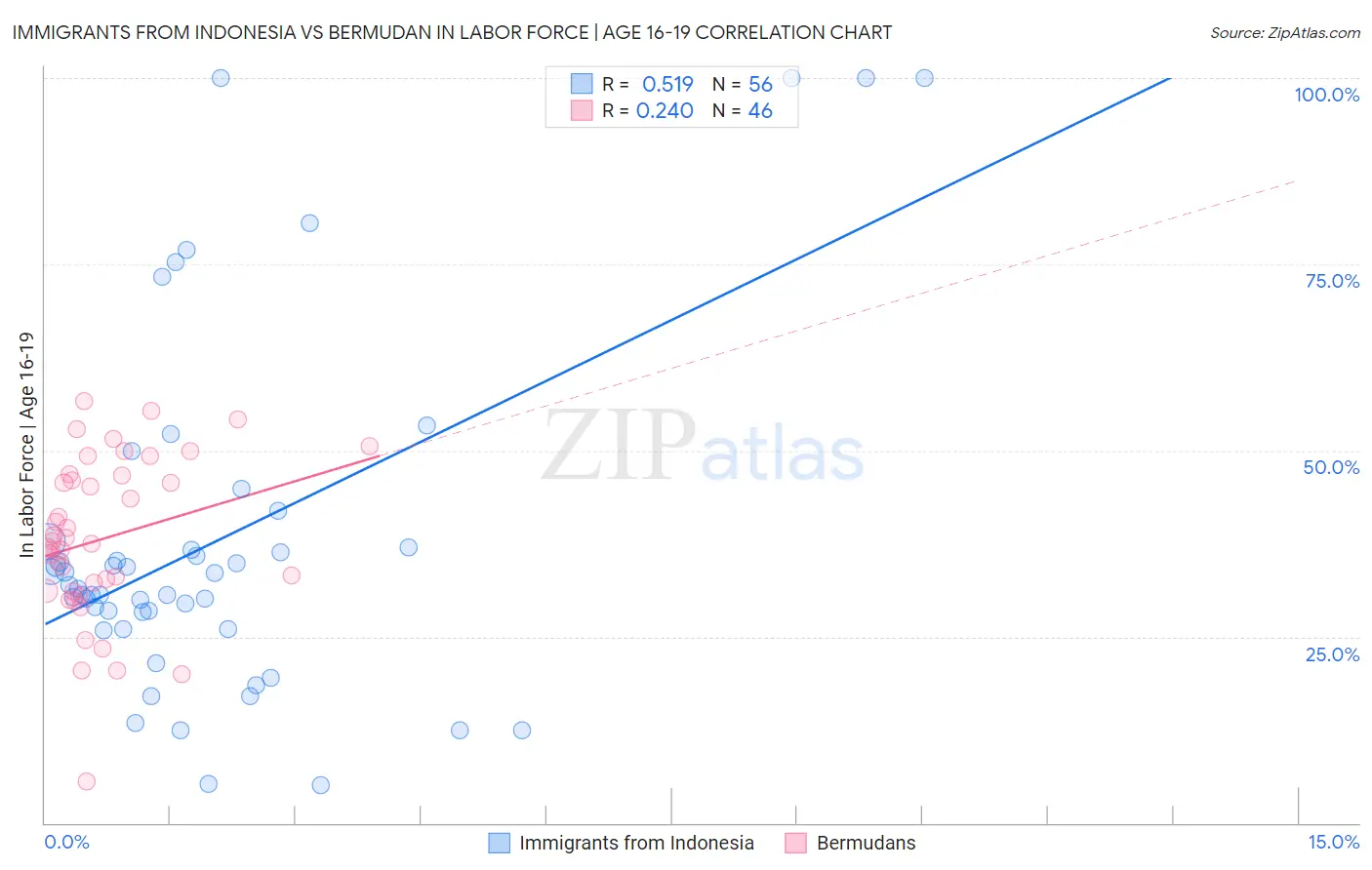 Immigrants from Indonesia vs Bermudan In Labor Force | Age 16-19