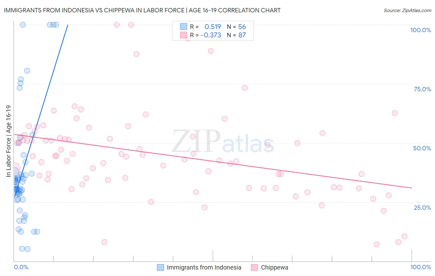 Immigrants from Indonesia vs Chippewa In Labor Force | Age 16-19
