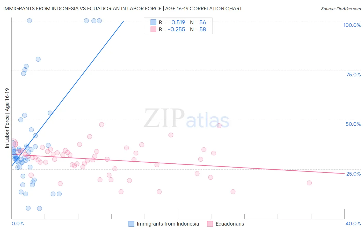 Immigrants from Indonesia vs Ecuadorian In Labor Force | Age 16-19