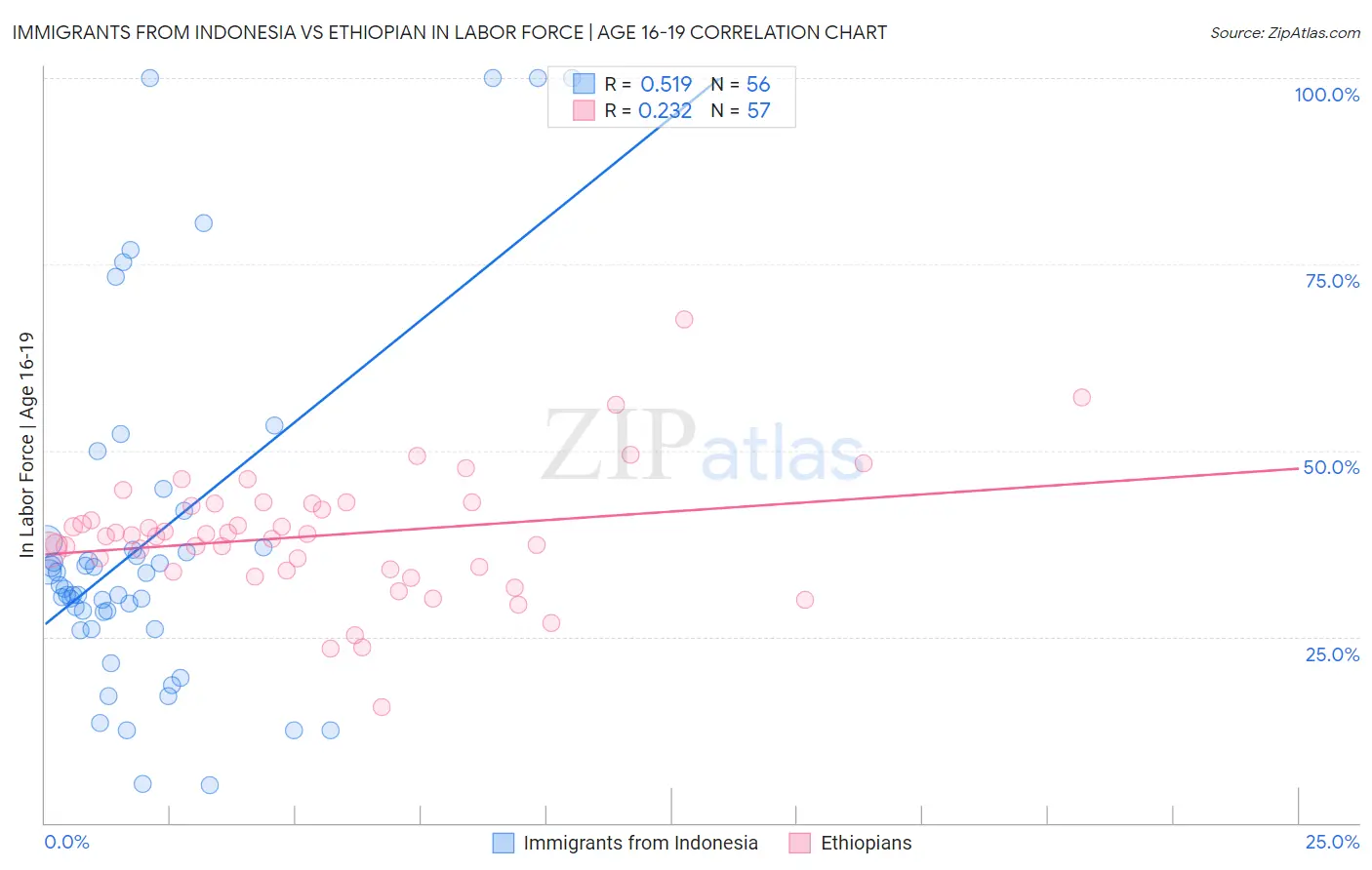 Immigrants from Indonesia vs Ethiopian In Labor Force | Age 16-19