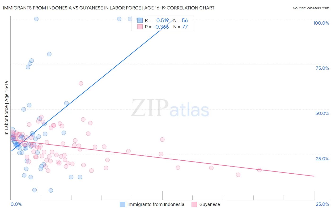 Immigrants from Indonesia vs Guyanese In Labor Force | Age 16-19