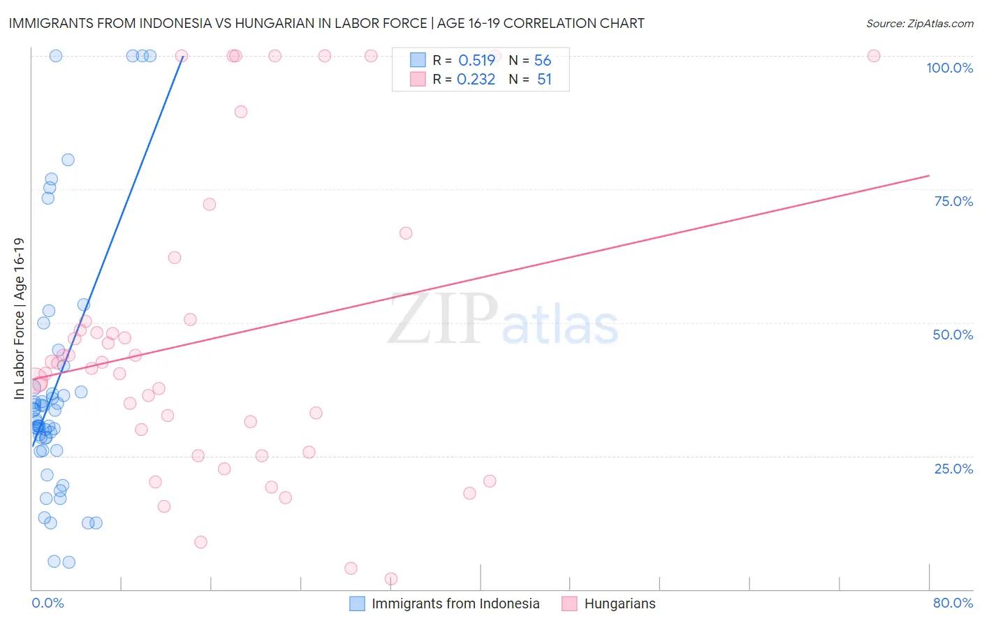 Immigrants from Indonesia vs Hungarian In Labor Force | Age 16-19
