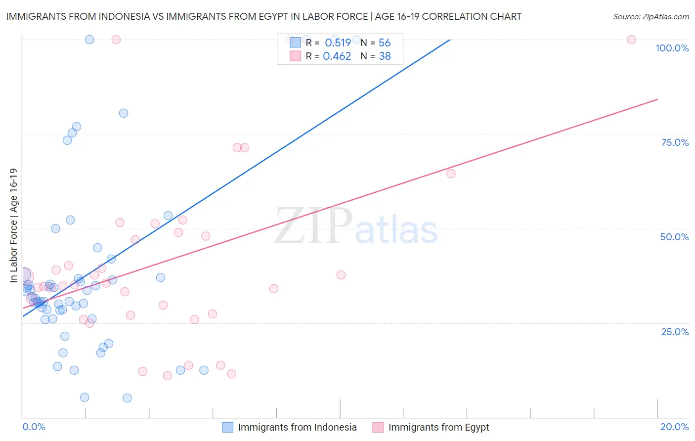 Immigrants from Indonesia vs Immigrants from Egypt In Labor Force | Age 16-19