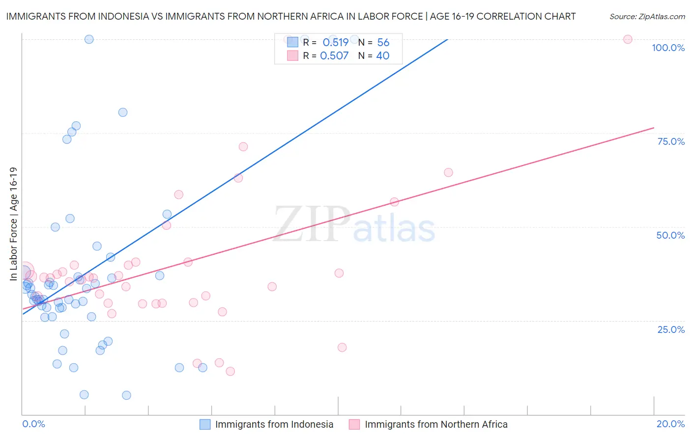 Immigrants from Indonesia vs Immigrants from Northern Africa In Labor Force | Age 16-19