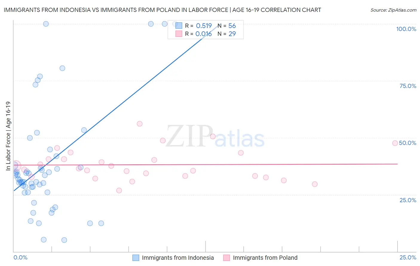 Immigrants from Indonesia vs Immigrants from Poland In Labor Force | Age 16-19