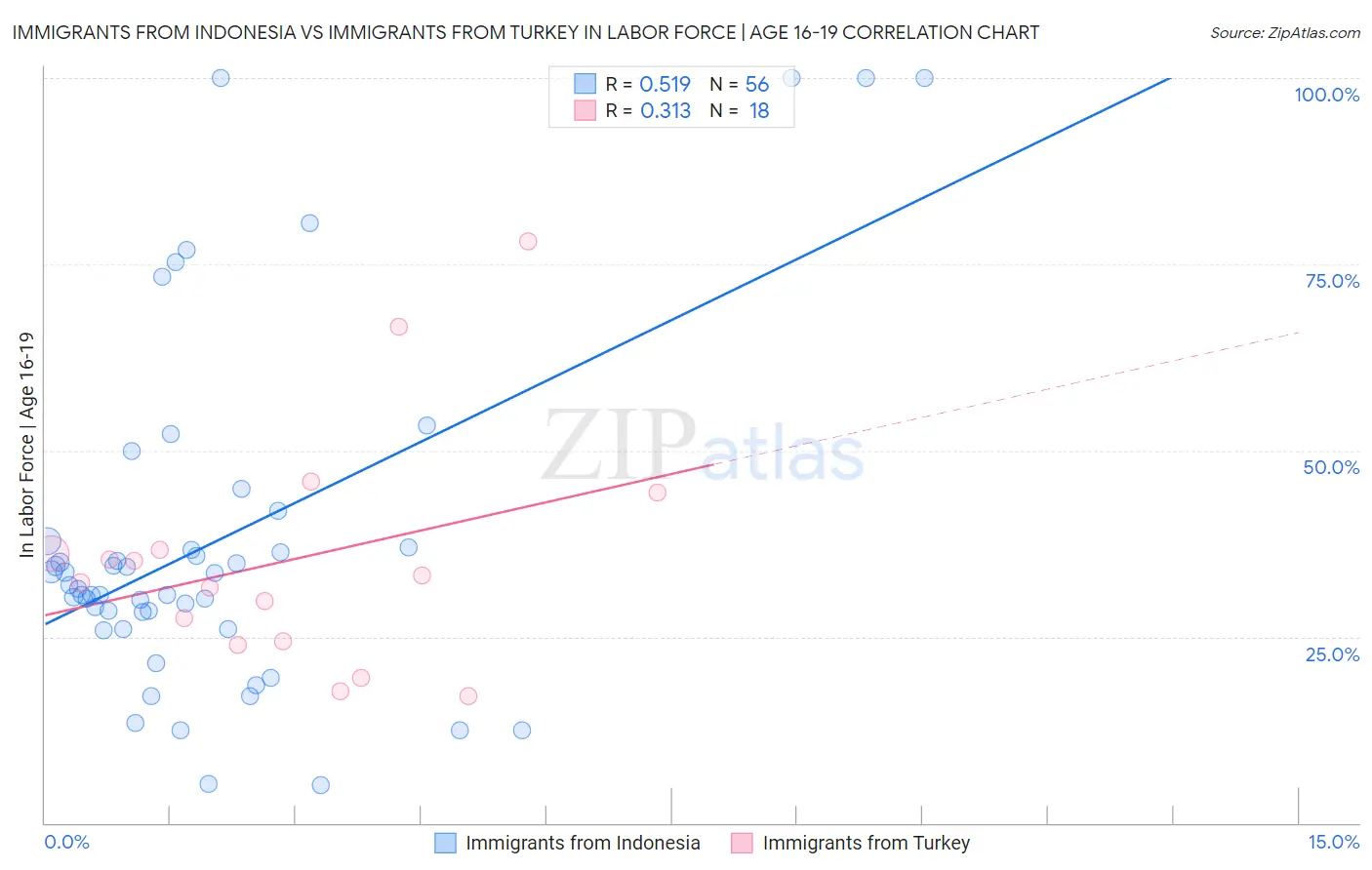 Immigrants from Indonesia vs Immigrants from Turkey In Labor Force | Age 16-19