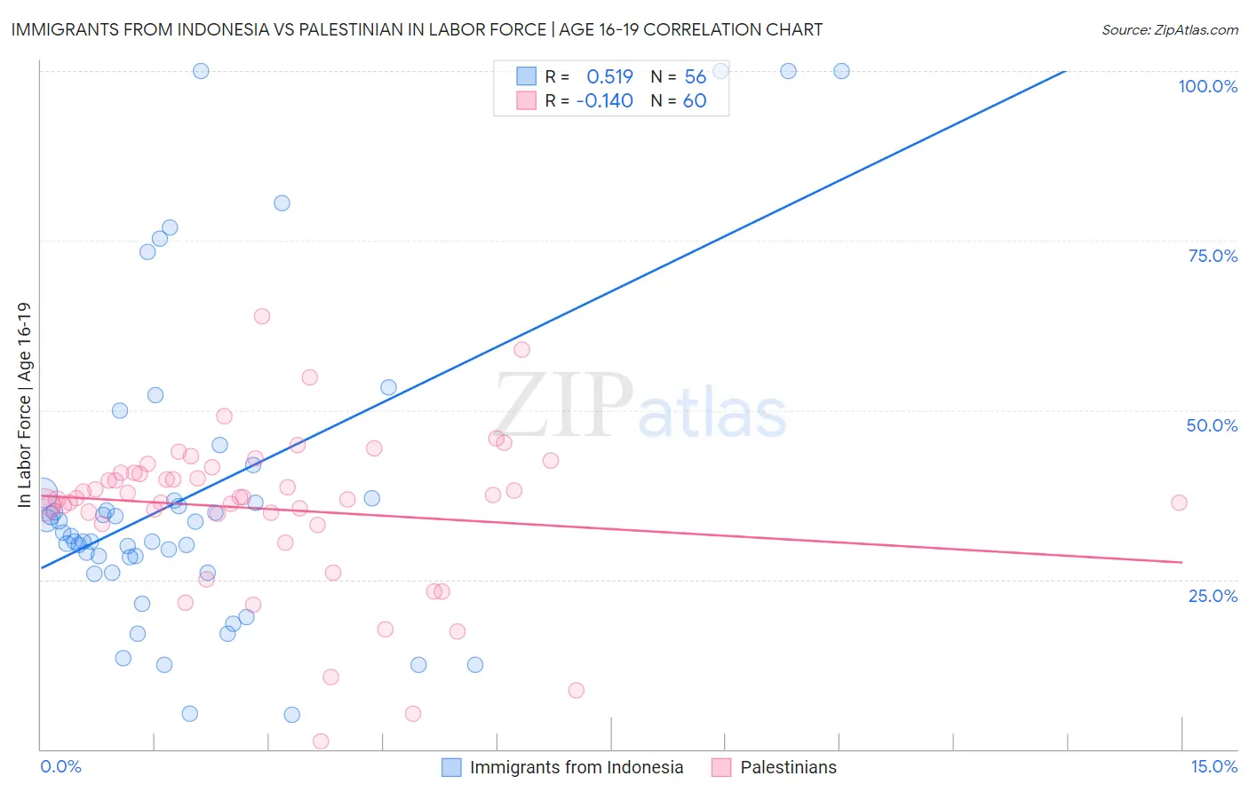 Immigrants from Indonesia vs Palestinian In Labor Force | Age 16-19