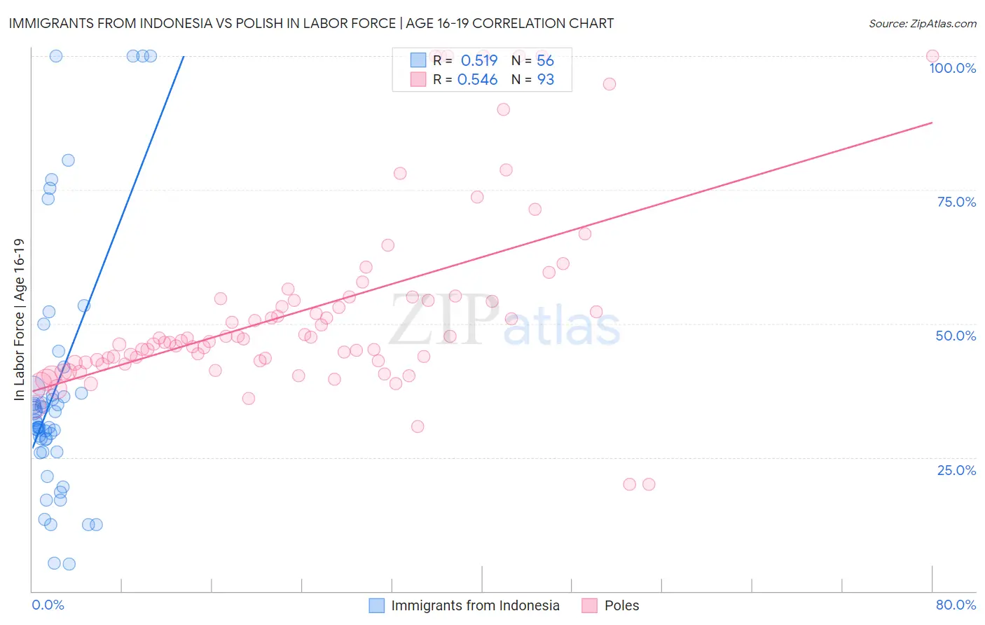 Immigrants from Indonesia vs Polish In Labor Force | Age 16-19