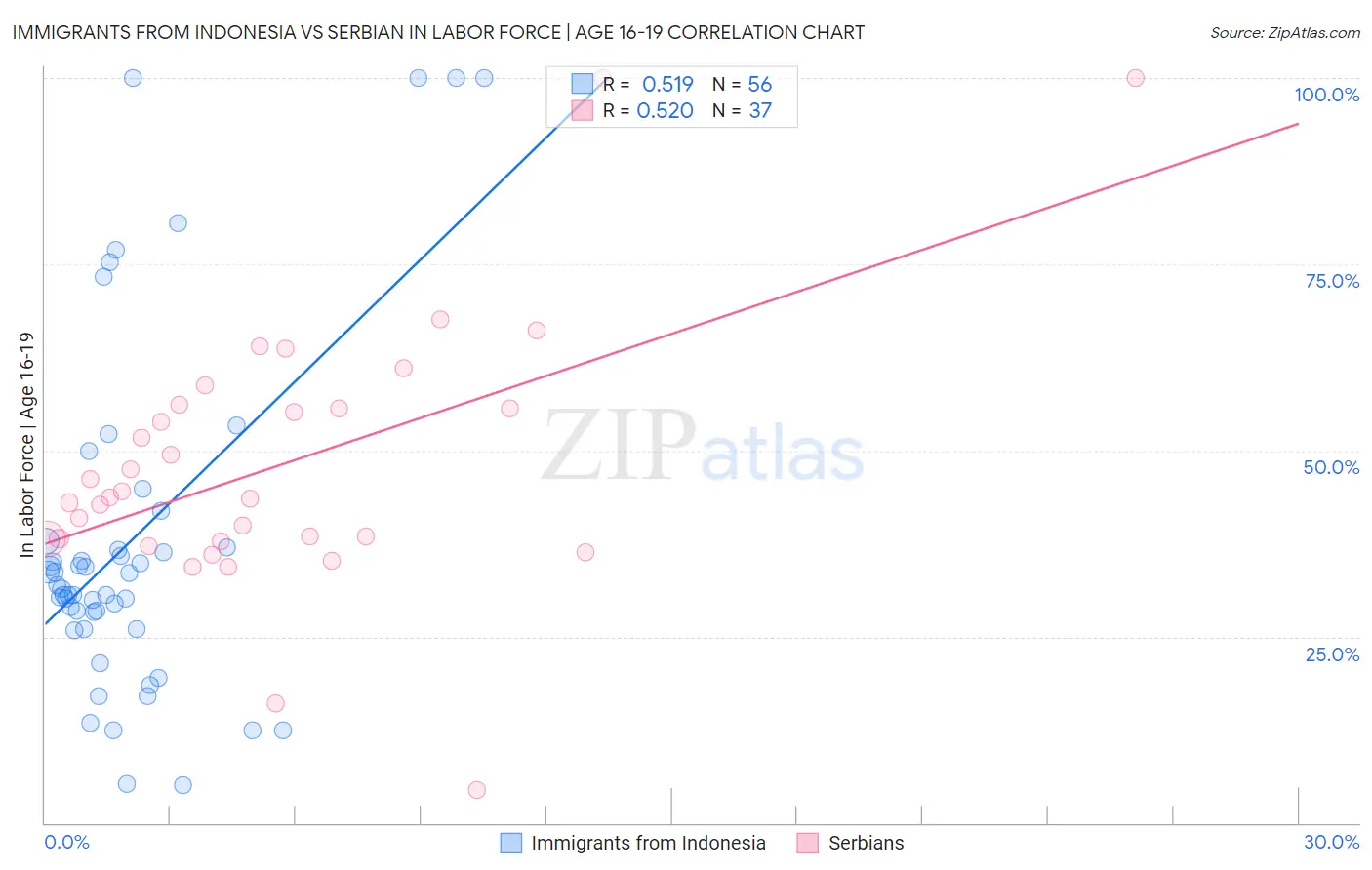 Immigrants from Indonesia vs Serbian In Labor Force | Age 16-19