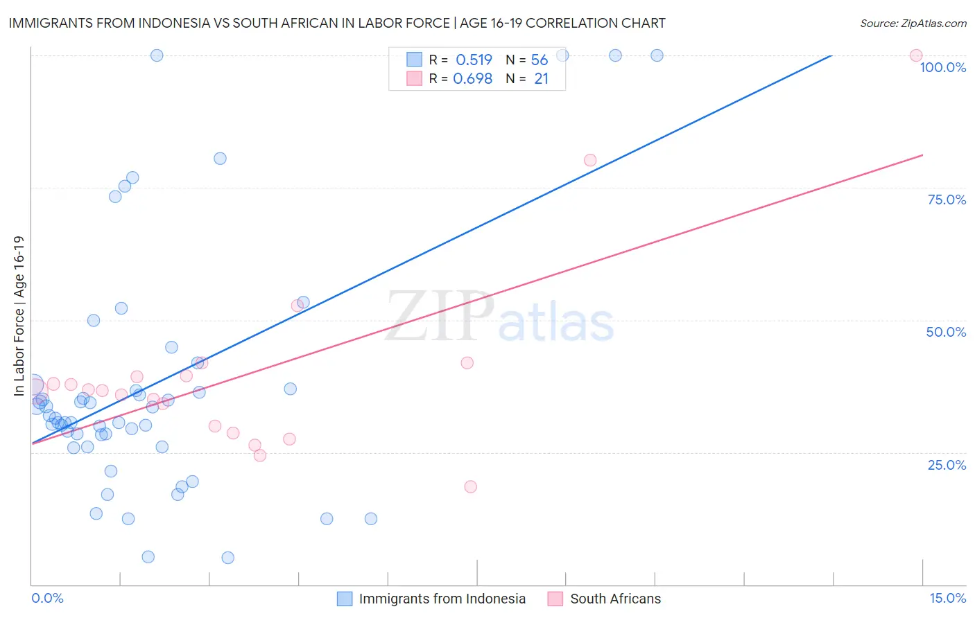 Immigrants from Indonesia vs South African In Labor Force | Age 16-19