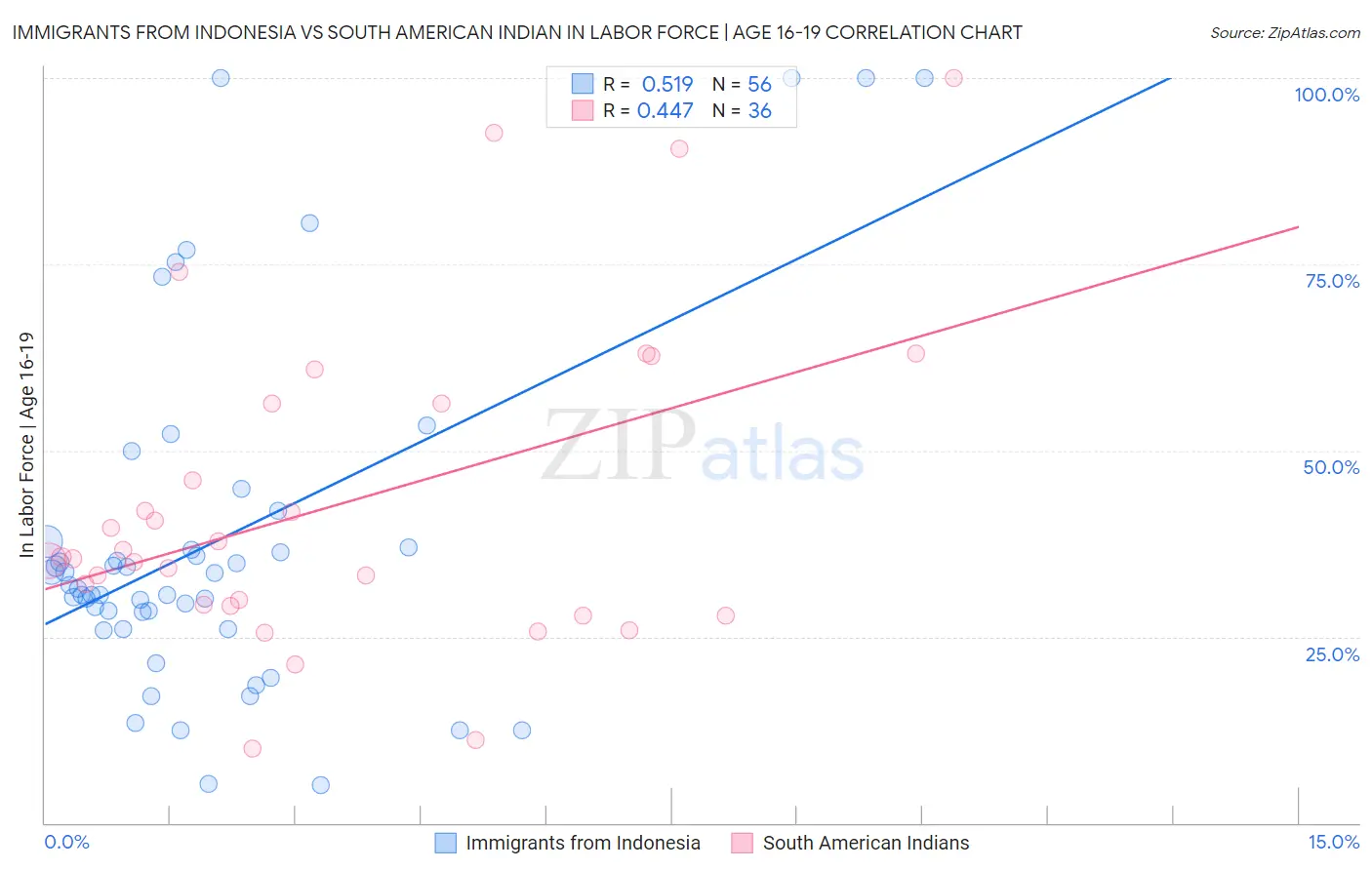 Immigrants from Indonesia vs South American Indian In Labor Force | Age 16-19