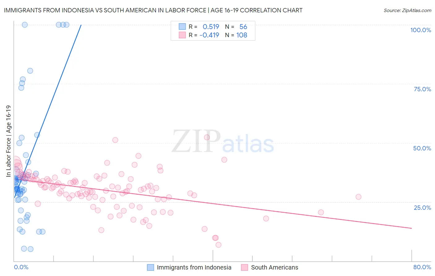 Immigrants from Indonesia vs South American In Labor Force | Age 16-19