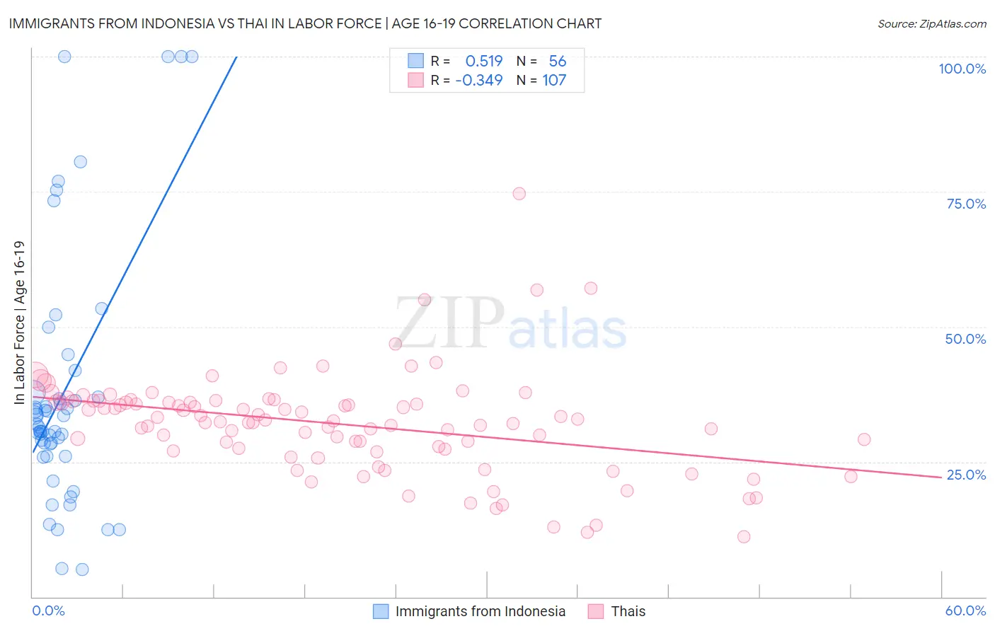Immigrants from Indonesia vs Thai In Labor Force | Age 16-19