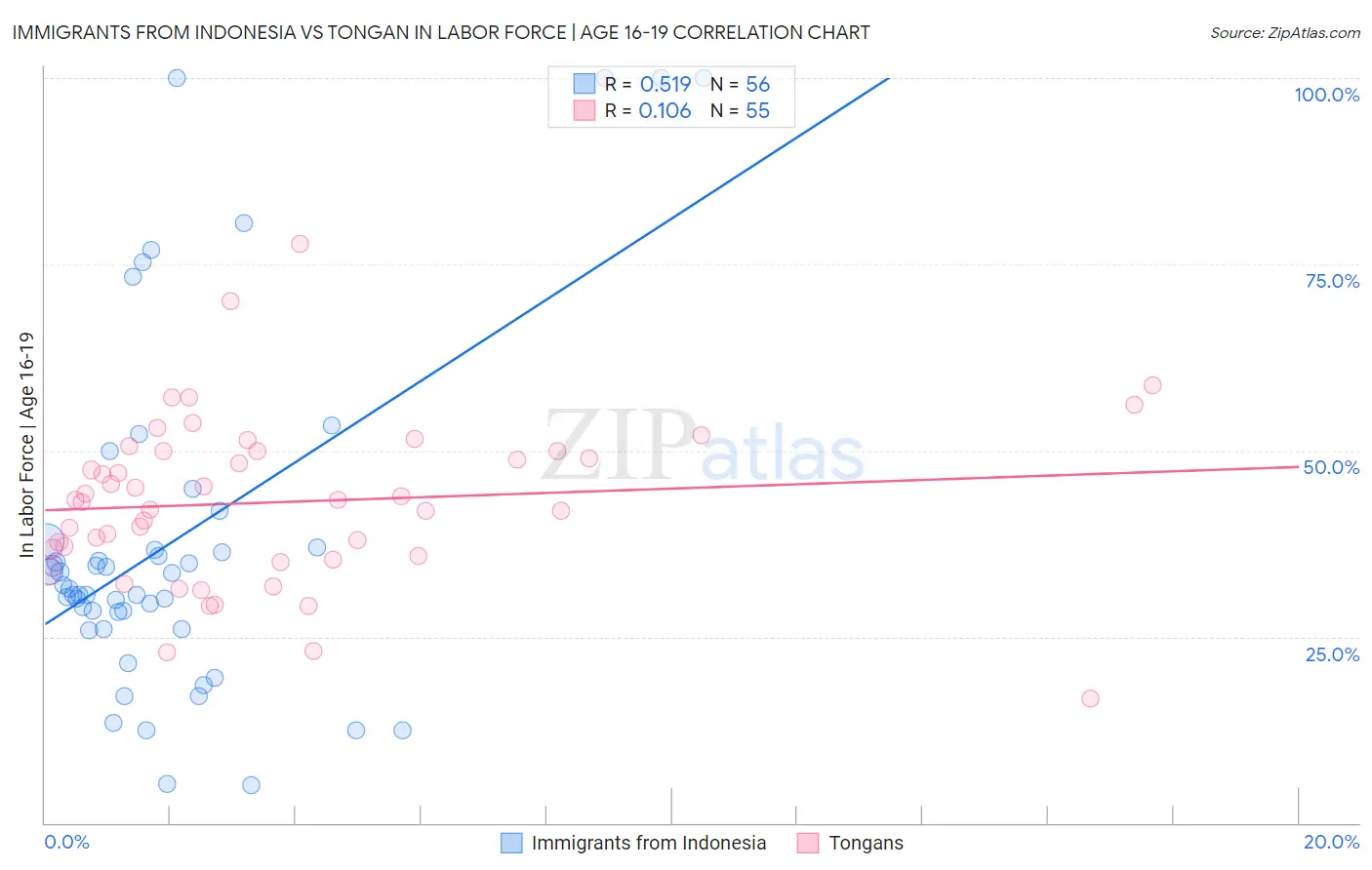 Immigrants from Indonesia vs Tongan In Labor Force | Age 16-19