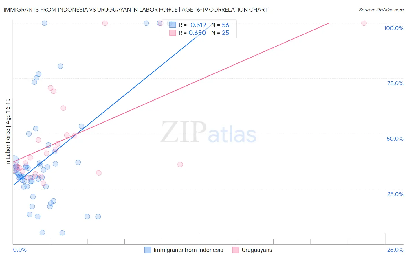 Immigrants from Indonesia vs Uruguayan In Labor Force | Age 16-19