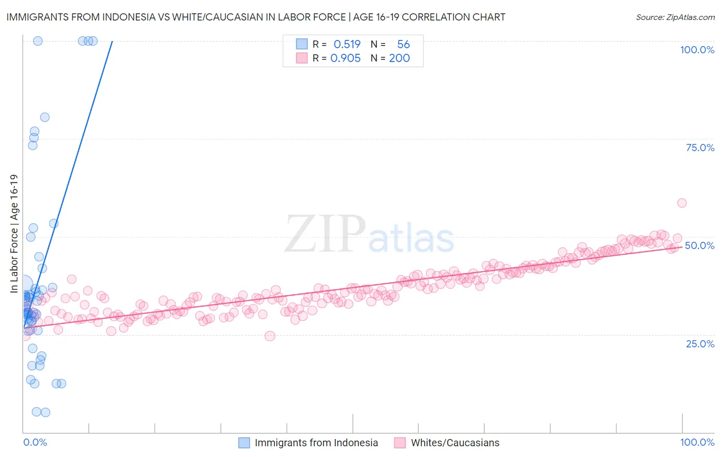 Immigrants from Indonesia vs White/Caucasian In Labor Force | Age 16-19