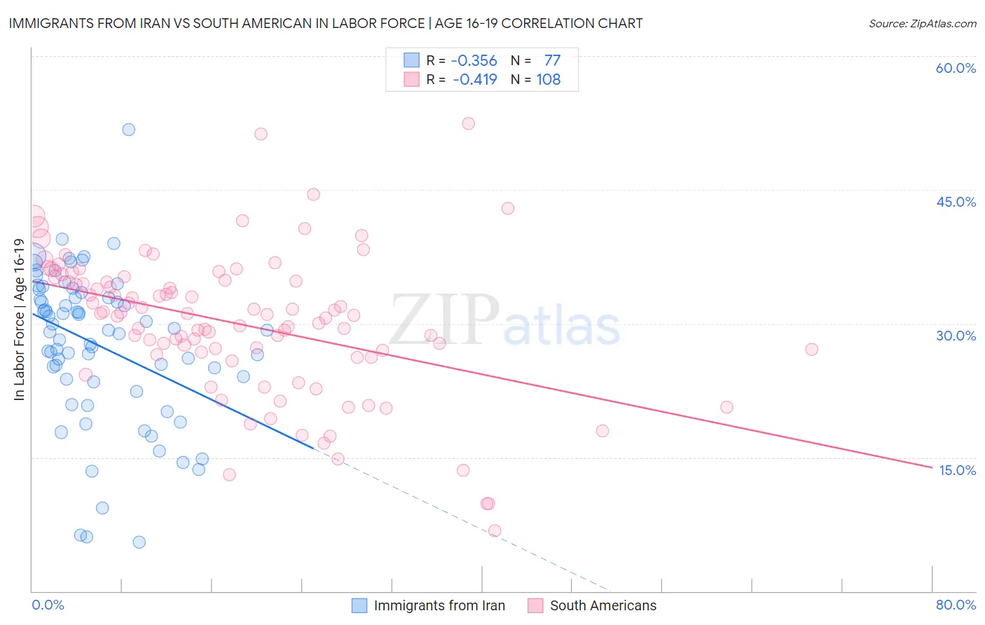 Immigrants from Iran vs South American In Labor Force | Age 16-19