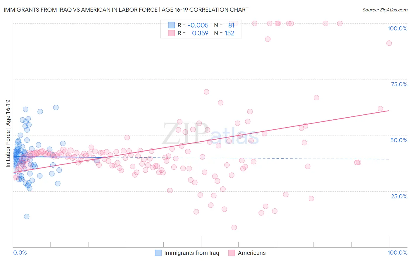 Immigrants from Iraq vs American In Labor Force | Age 16-19