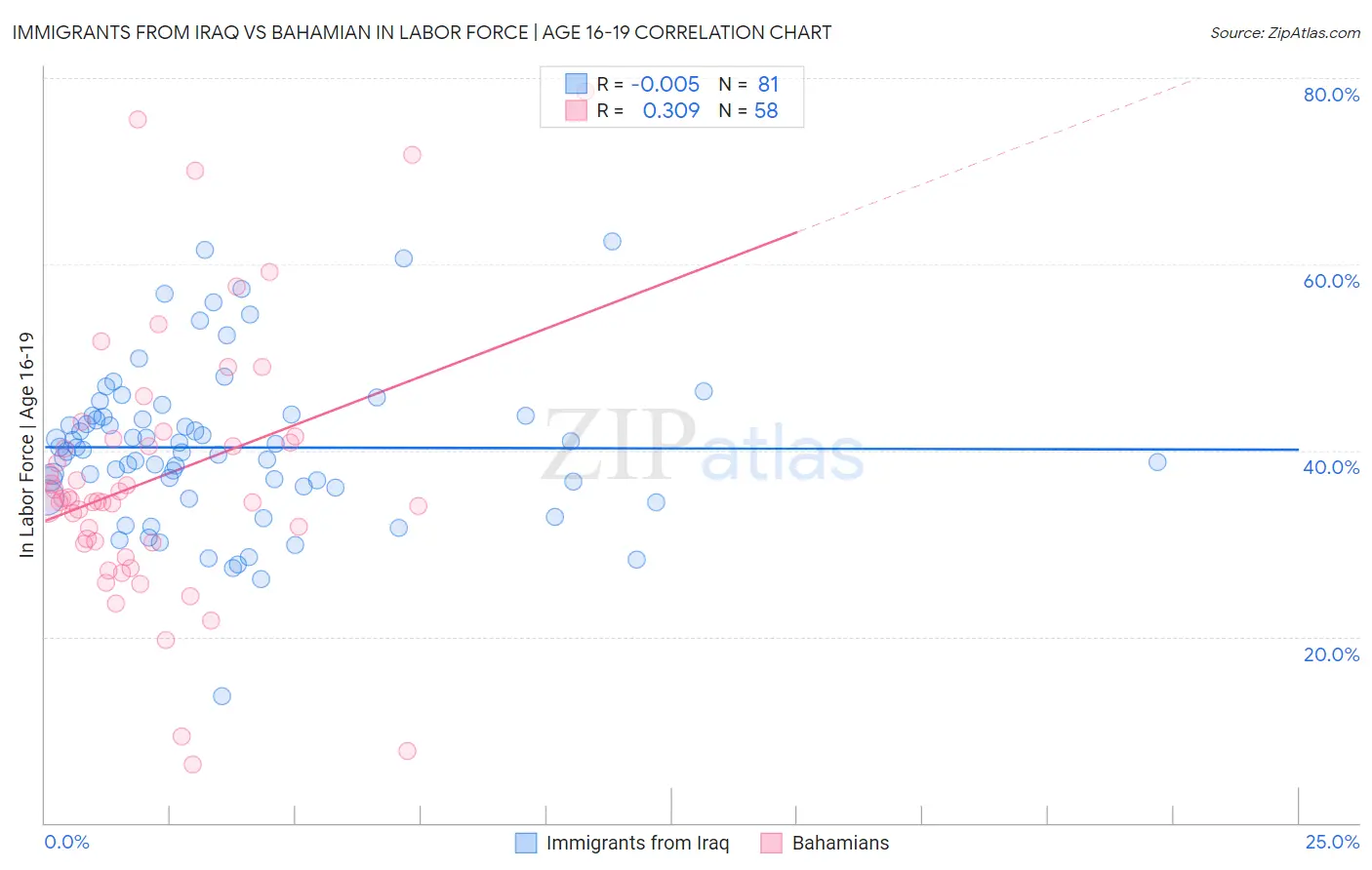 Immigrants from Iraq vs Bahamian In Labor Force | Age 16-19