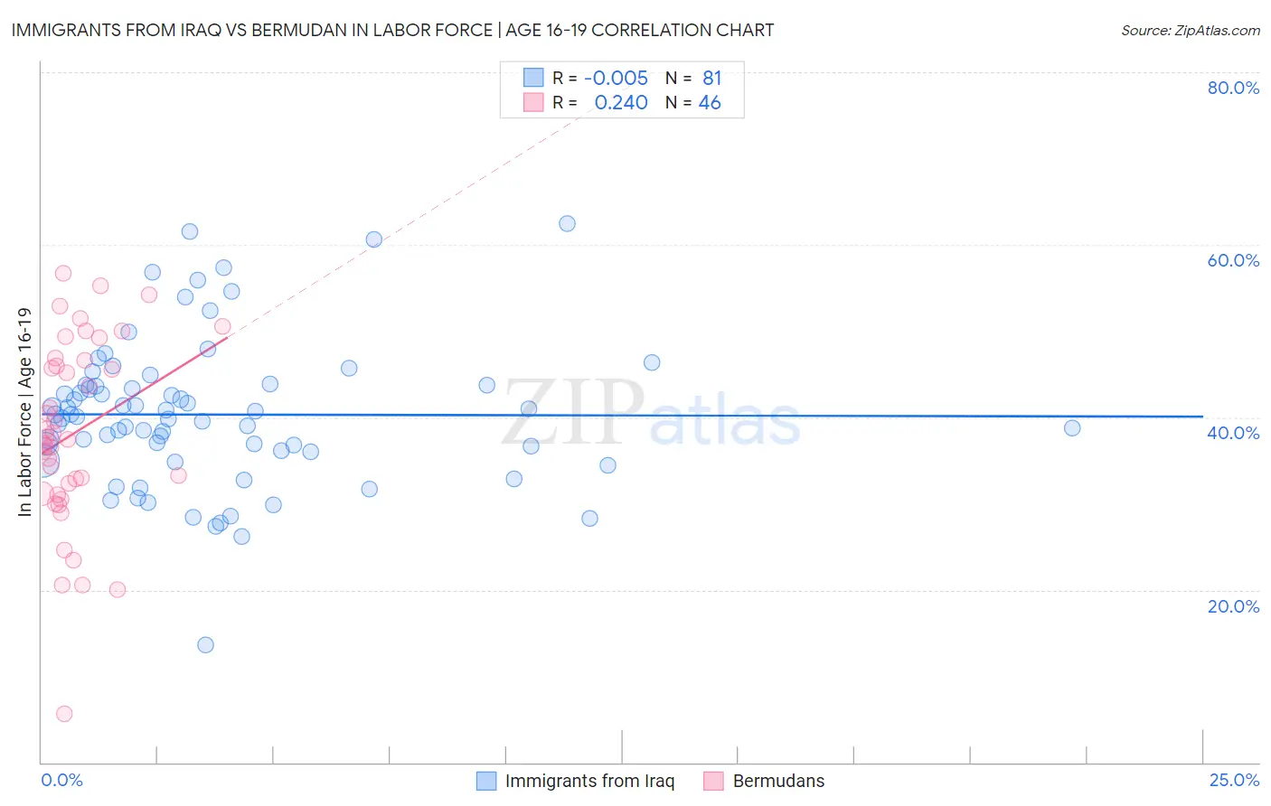 Immigrants from Iraq vs Bermudan In Labor Force | Age 16-19