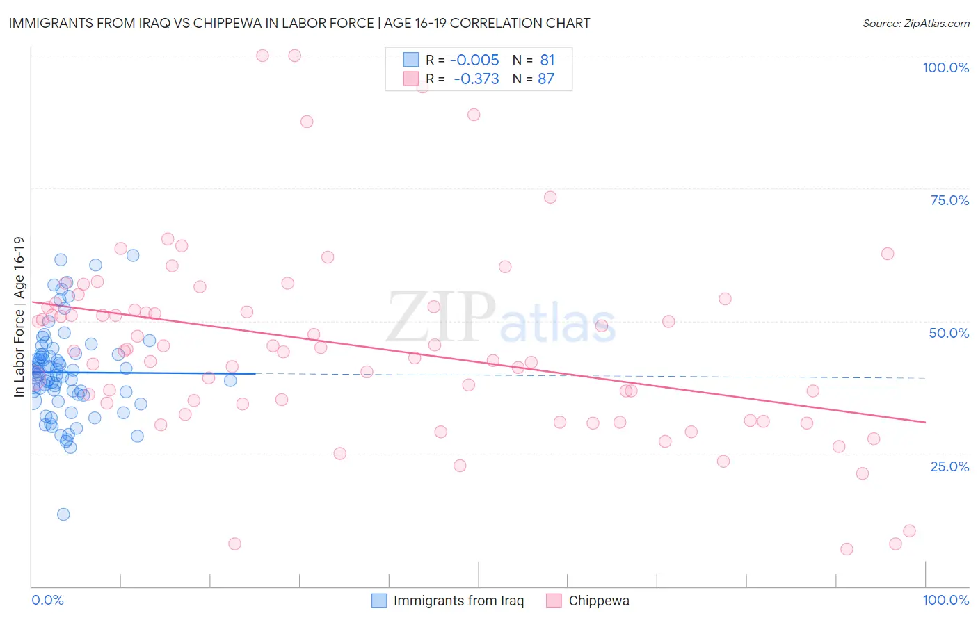 Immigrants from Iraq vs Chippewa In Labor Force | Age 16-19