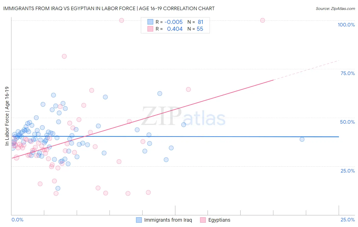 Immigrants from Iraq vs Egyptian In Labor Force | Age 16-19