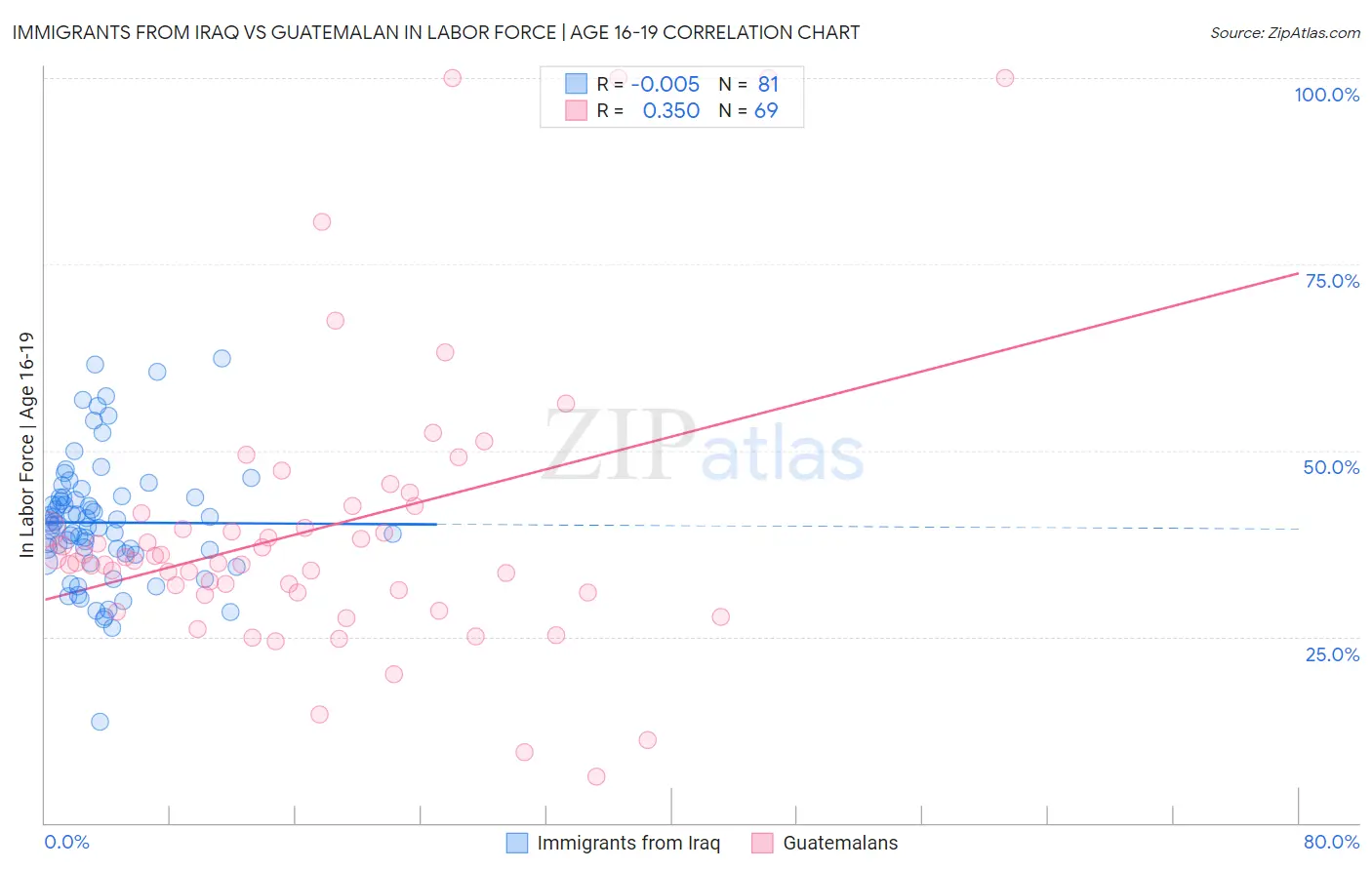 Immigrants from Iraq vs Guatemalan In Labor Force | Age 16-19