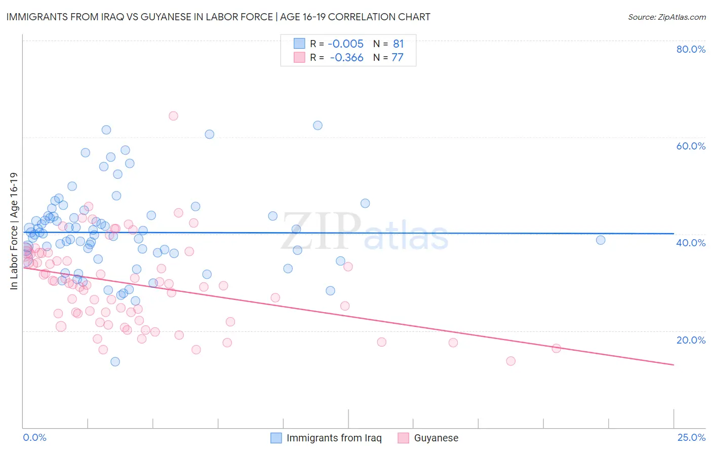 Immigrants from Iraq vs Guyanese In Labor Force | Age 16-19