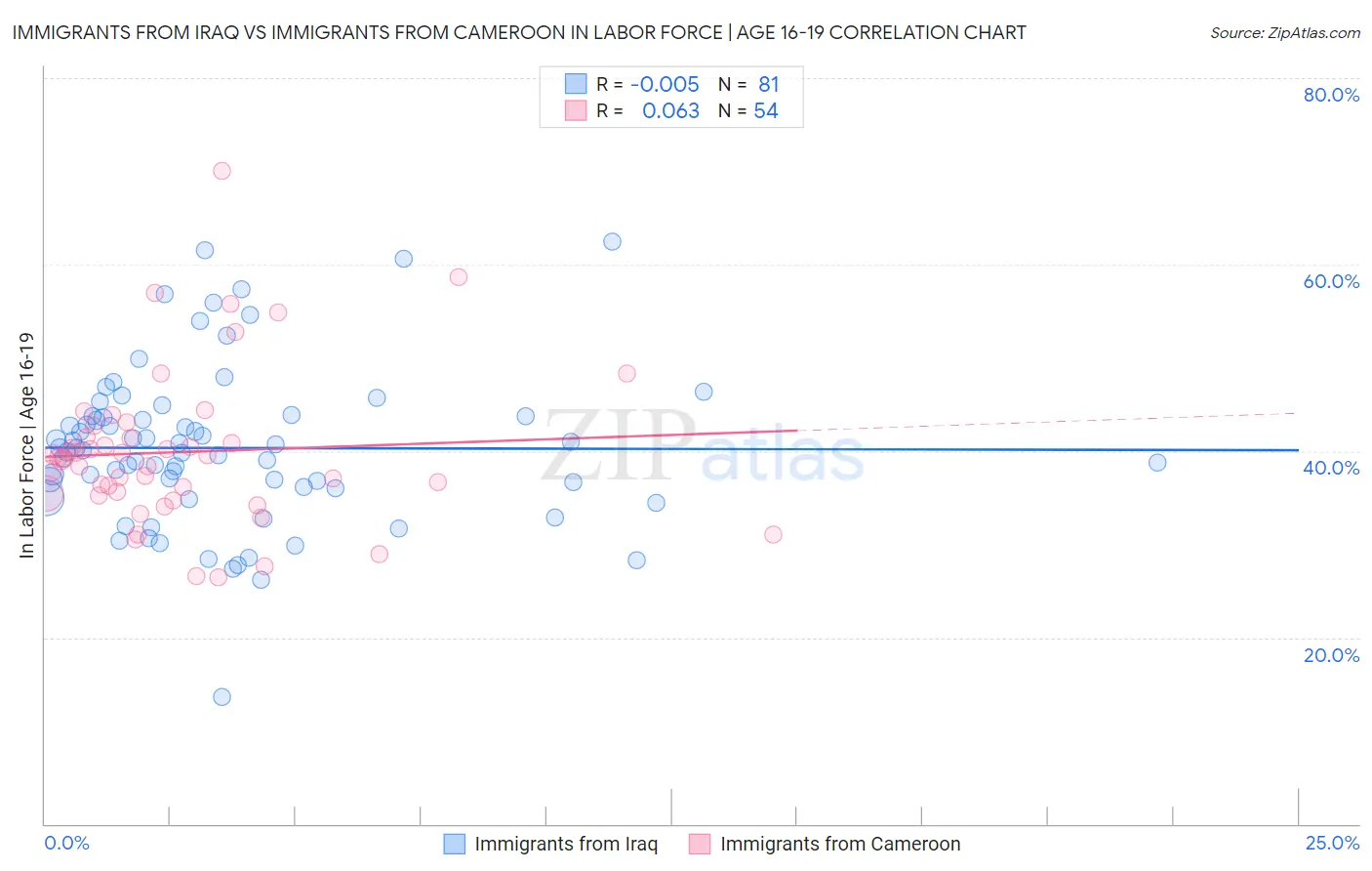 Immigrants from Iraq vs Immigrants from Cameroon In Labor Force | Age 16-19