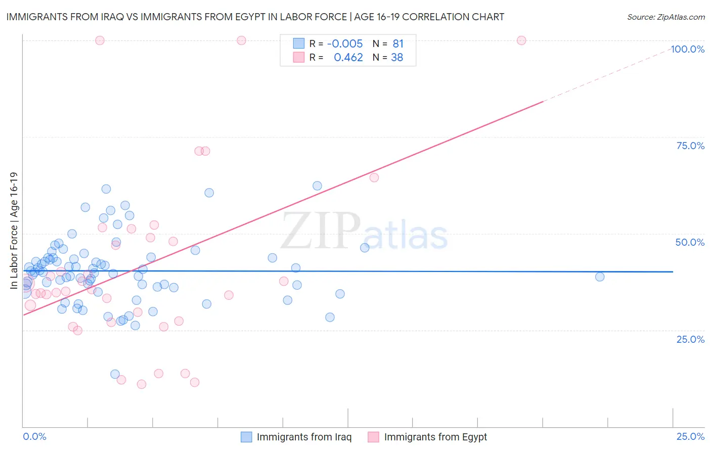 Immigrants from Iraq vs Immigrants from Egypt In Labor Force | Age 16-19