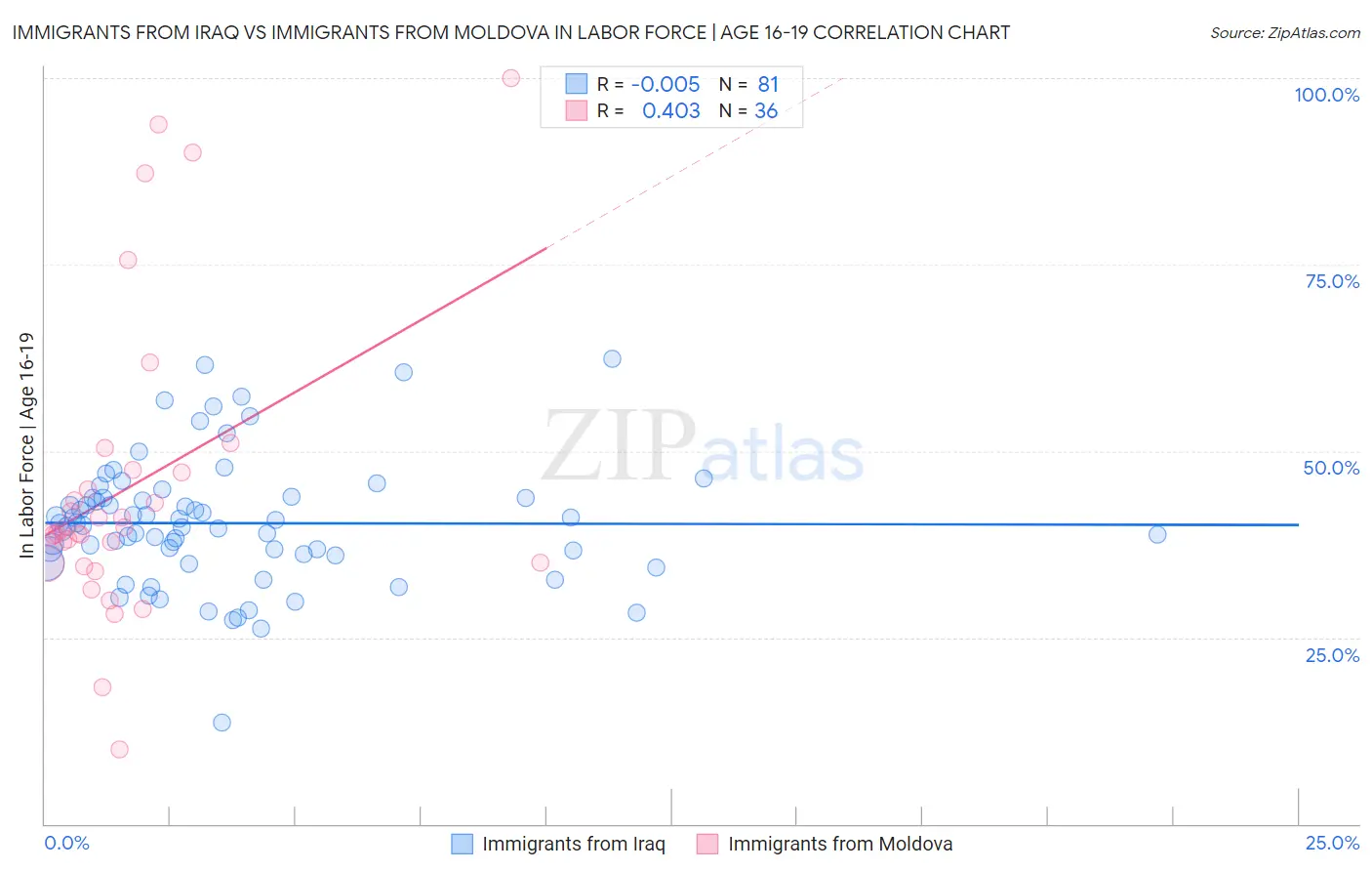 Immigrants from Iraq vs Immigrants from Moldova In Labor Force | Age 16-19