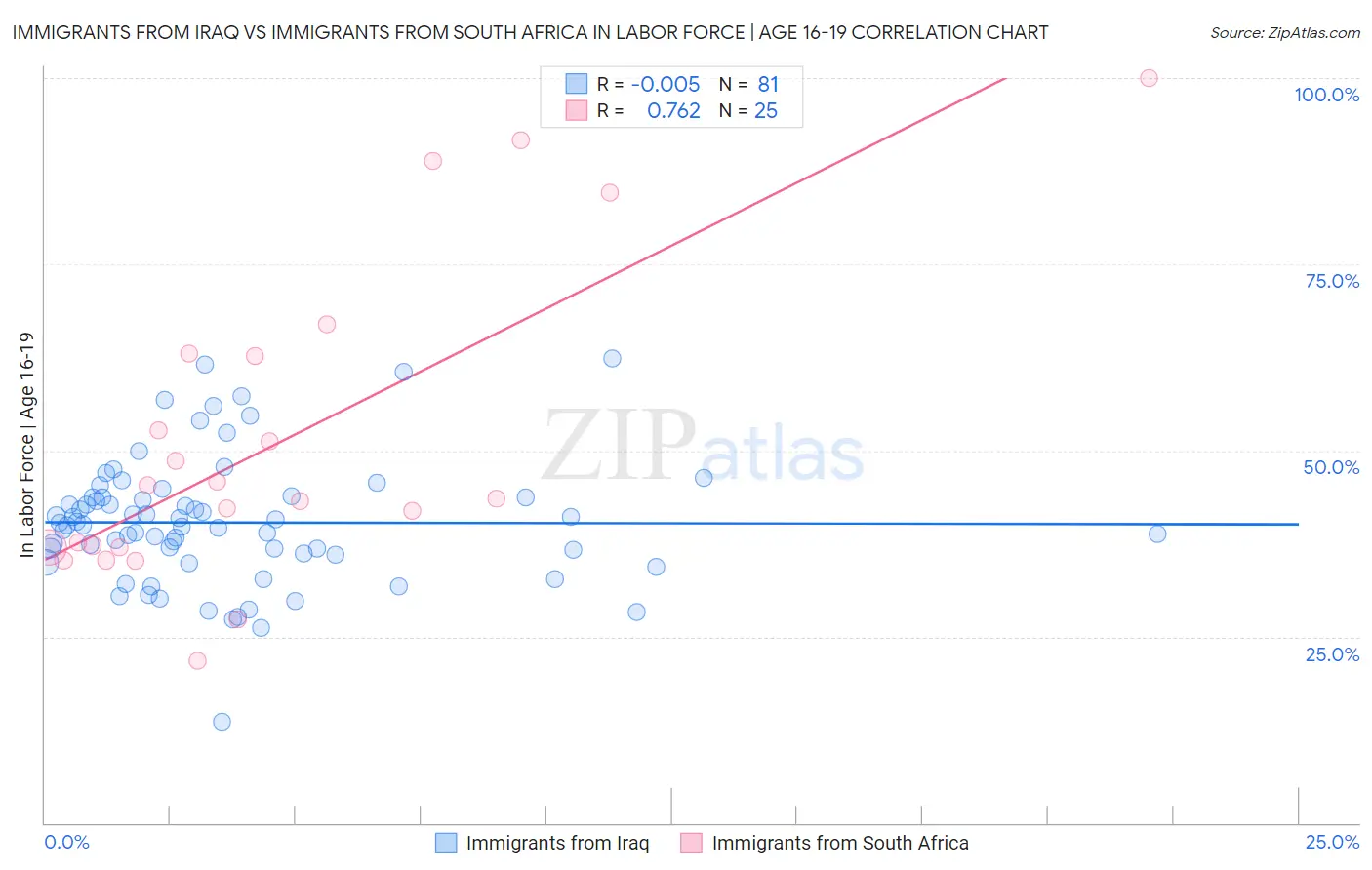 Immigrants from Iraq vs Immigrants from South Africa In Labor Force | Age 16-19