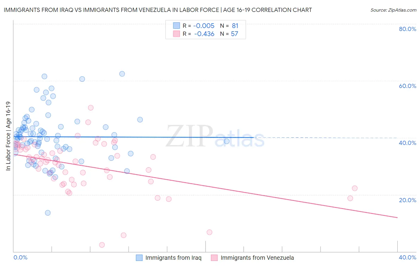 Immigrants from Iraq vs Immigrants from Venezuela In Labor Force | Age 16-19