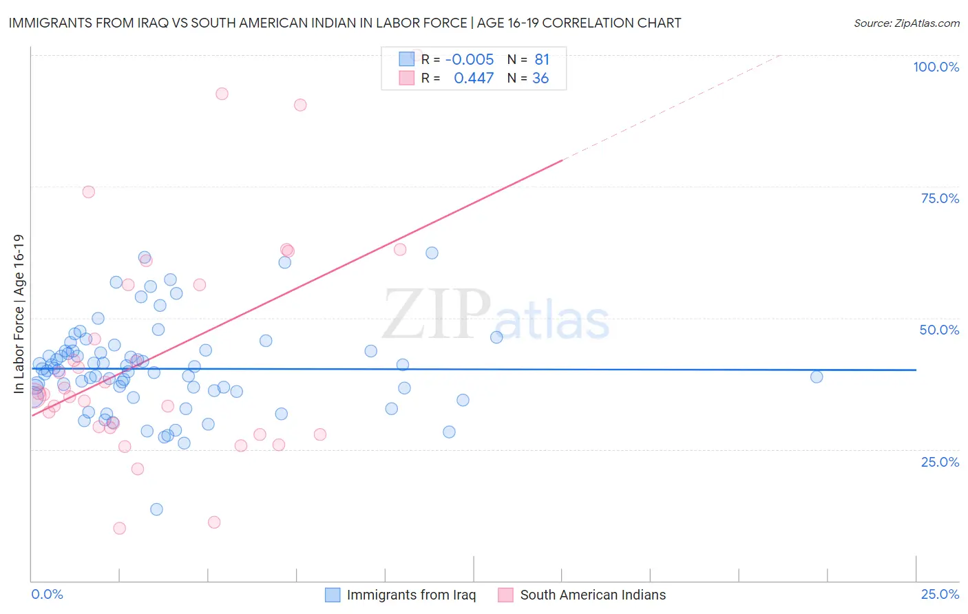 Immigrants from Iraq vs South American Indian In Labor Force | Age 16-19