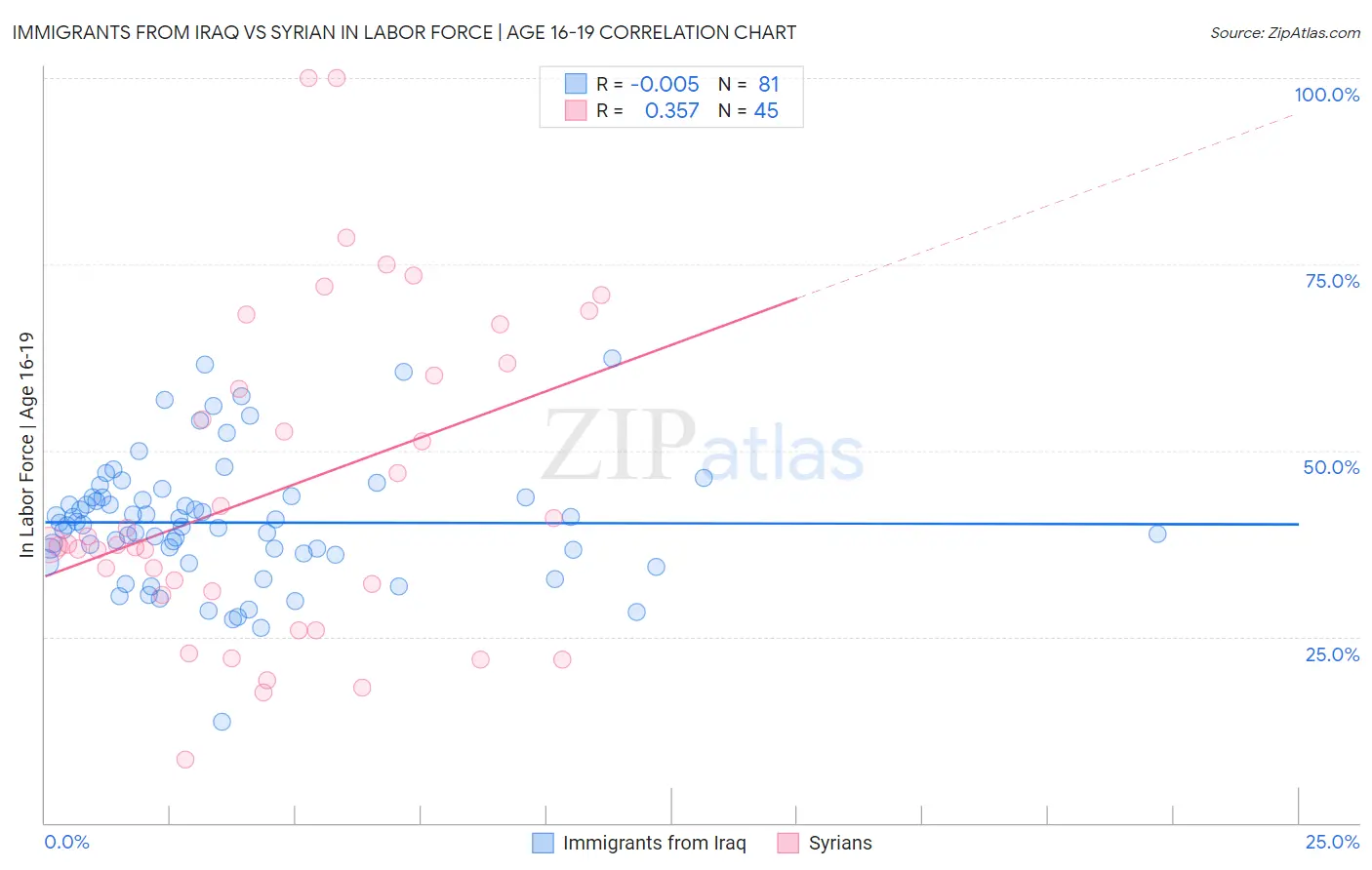 Immigrants from Iraq vs Syrian In Labor Force | Age 16-19