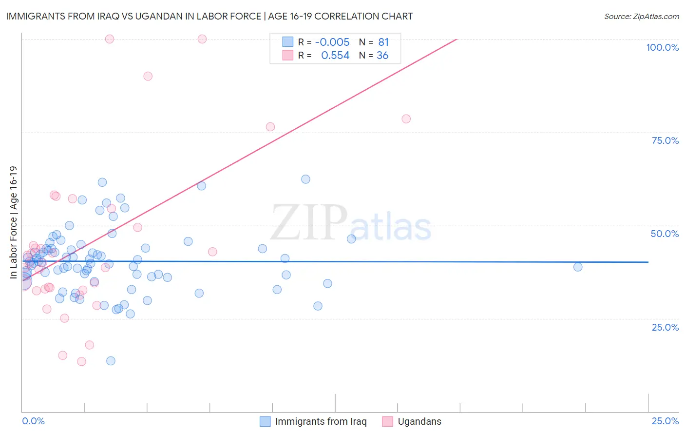 Immigrants from Iraq vs Ugandan In Labor Force | Age 16-19