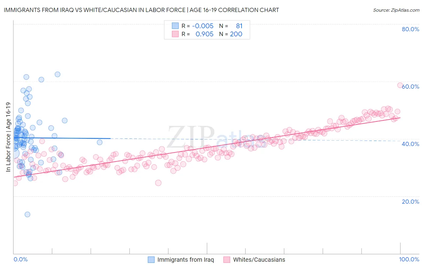 Immigrants from Iraq vs White/Caucasian In Labor Force | Age 16-19