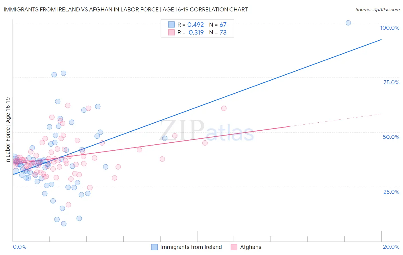 Immigrants from Ireland vs Afghan In Labor Force | Age 16-19