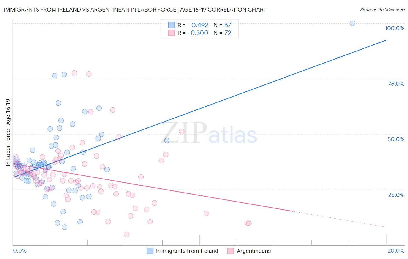 Immigrants from Ireland vs Argentinean In Labor Force | Age 16-19