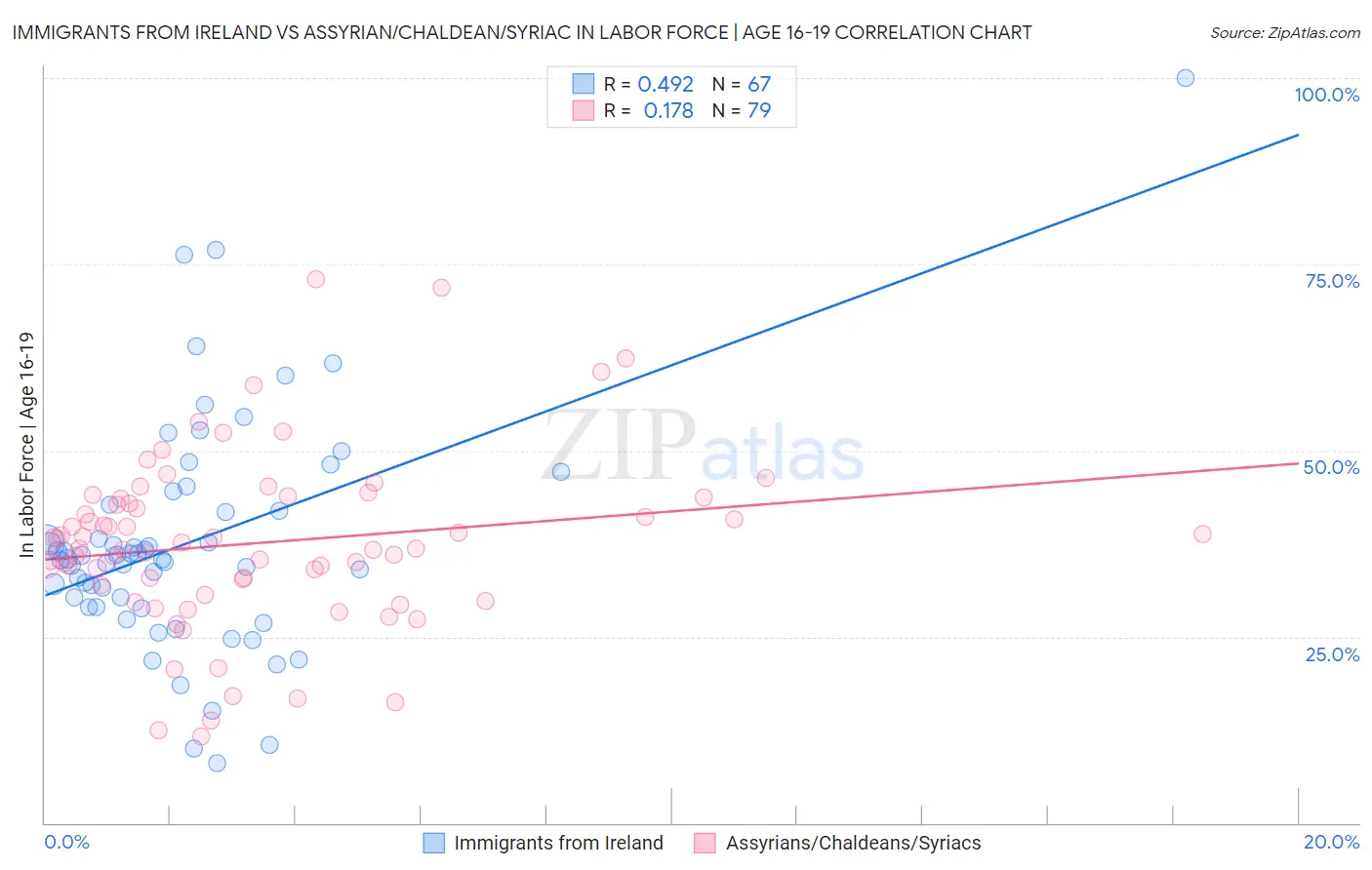 Immigrants from Ireland vs Assyrian/Chaldean/Syriac In Labor Force | Age 16-19