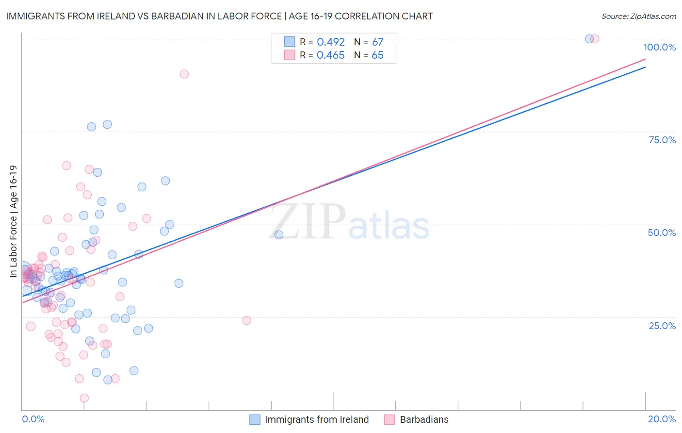Immigrants from Ireland vs Barbadian In Labor Force | Age 16-19