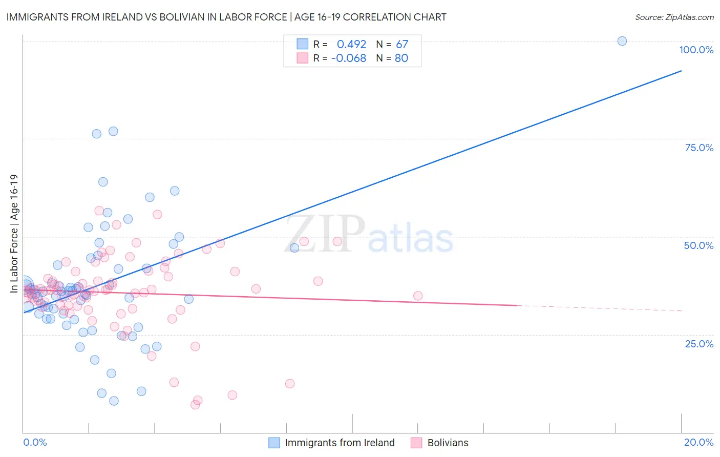 Immigrants from Ireland vs Bolivian In Labor Force | Age 16-19