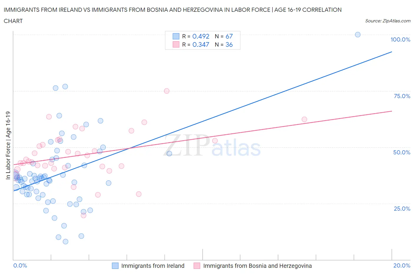 Immigrants from Ireland vs Immigrants from Bosnia and Herzegovina In Labor Force | Age 16-19