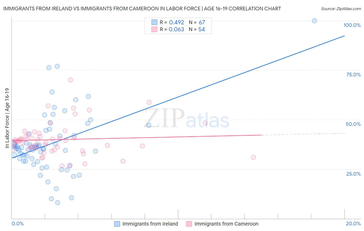 Immigrants from Ireland vs Immigrants from Cameroon In Labor Force | Age 16-19