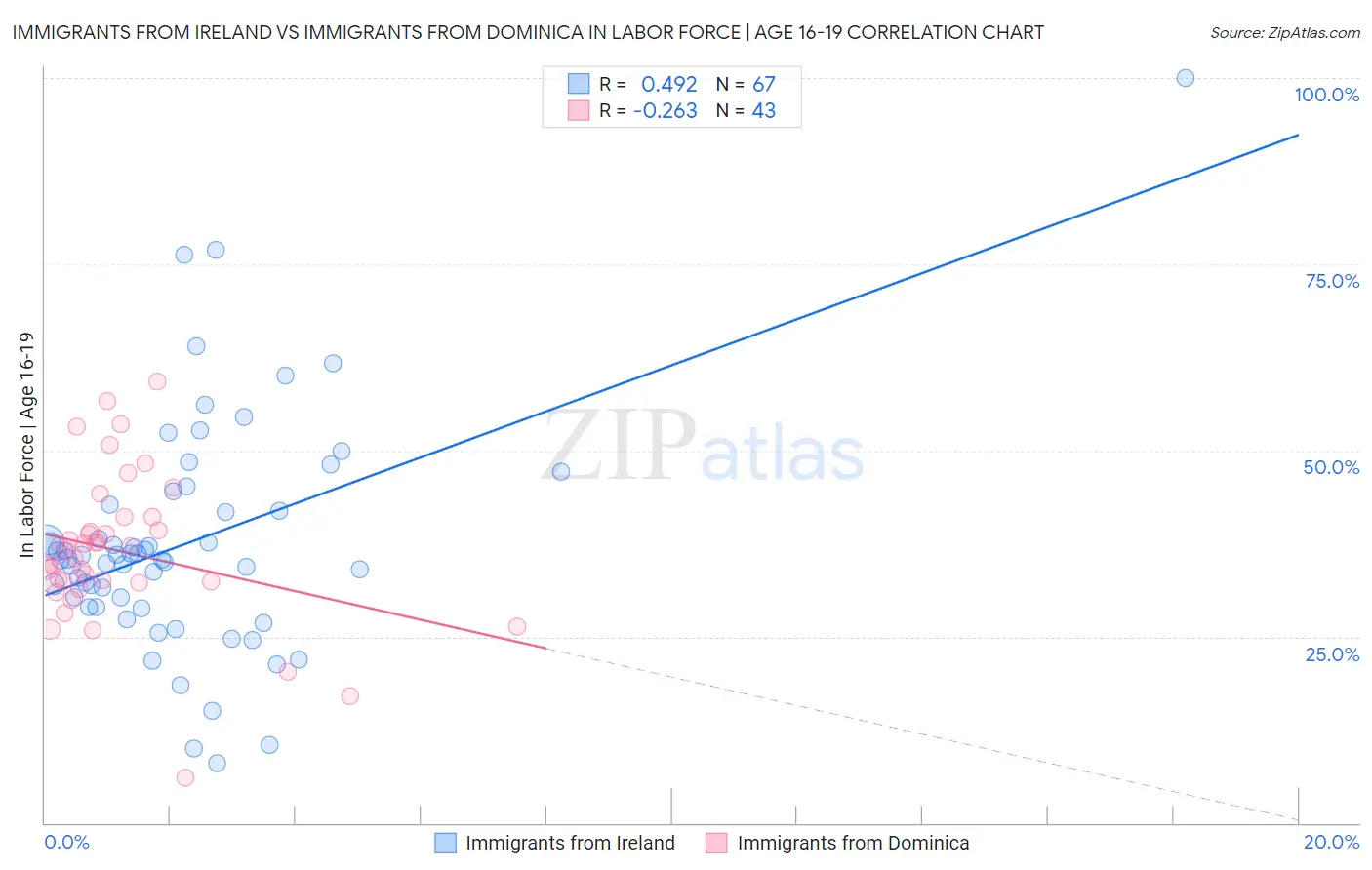 Immigrants from Ireland vs Immigrants from Dominica In Labor Force | Age 16-19