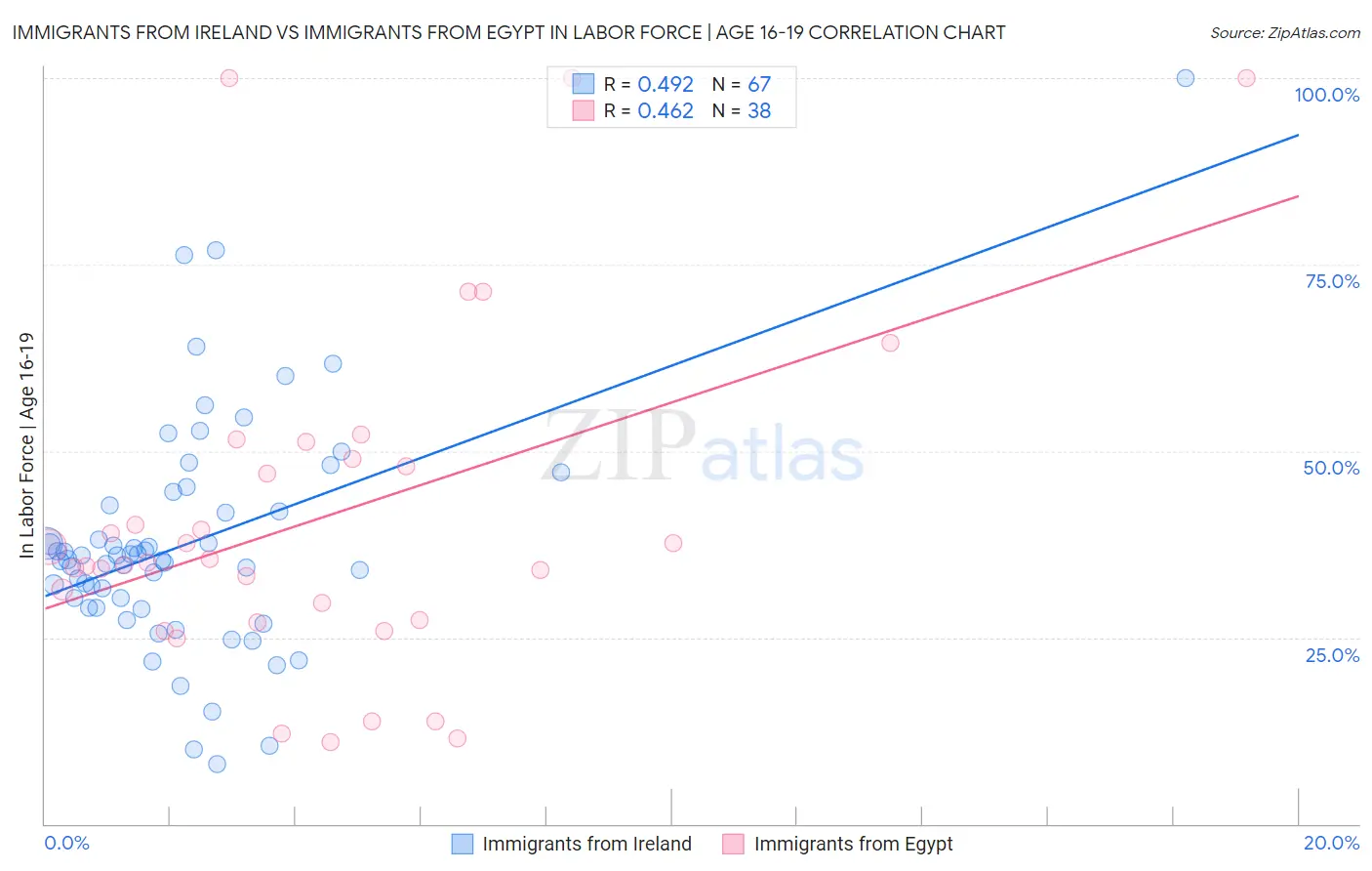 Immigrants from Ireland vs Immigrants from Egypt In Labor Force | Age 16-19