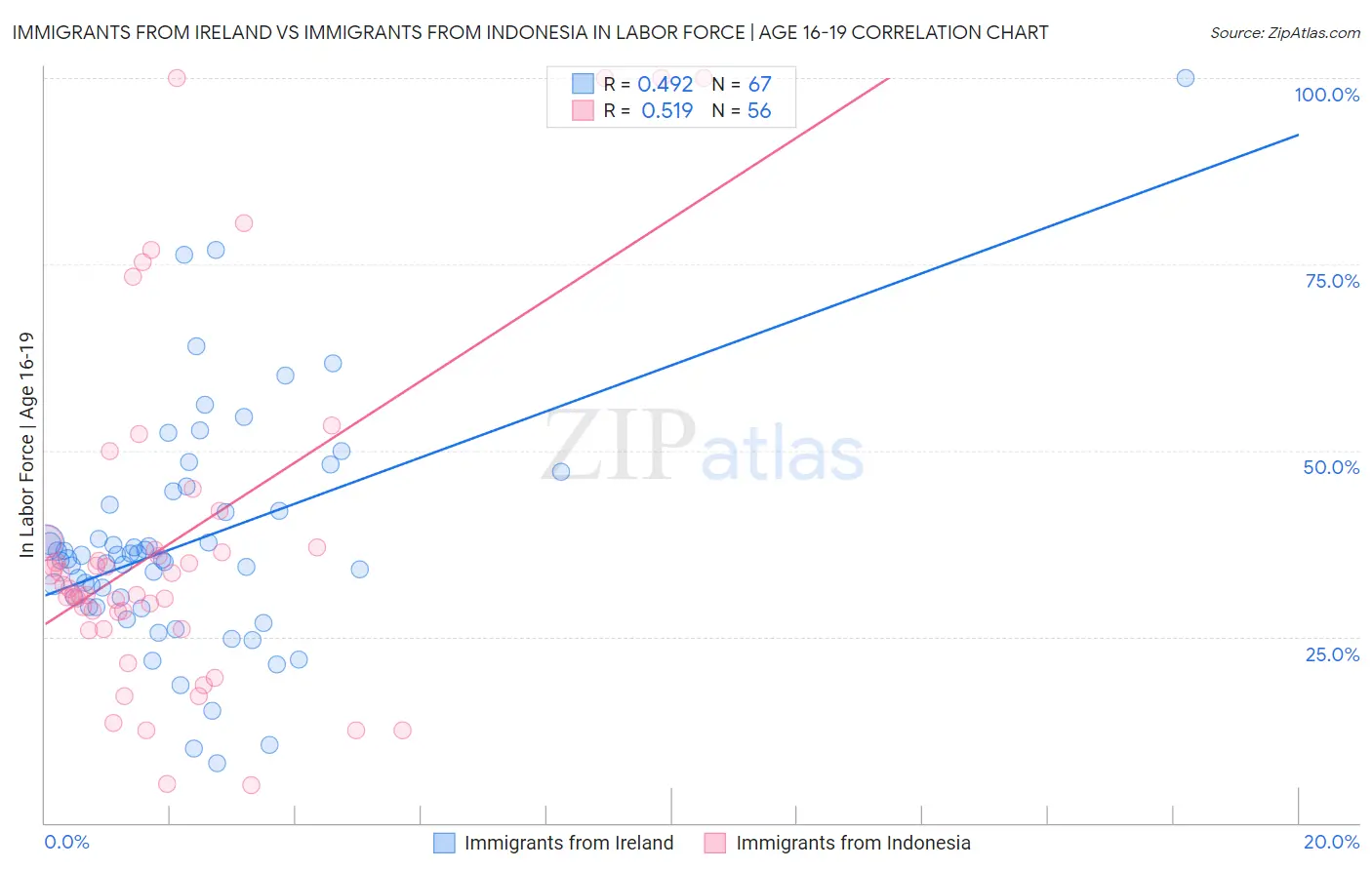 Immigrants from Ireland vs Immigrants from Indonesia In Labor Force | Age 16-19