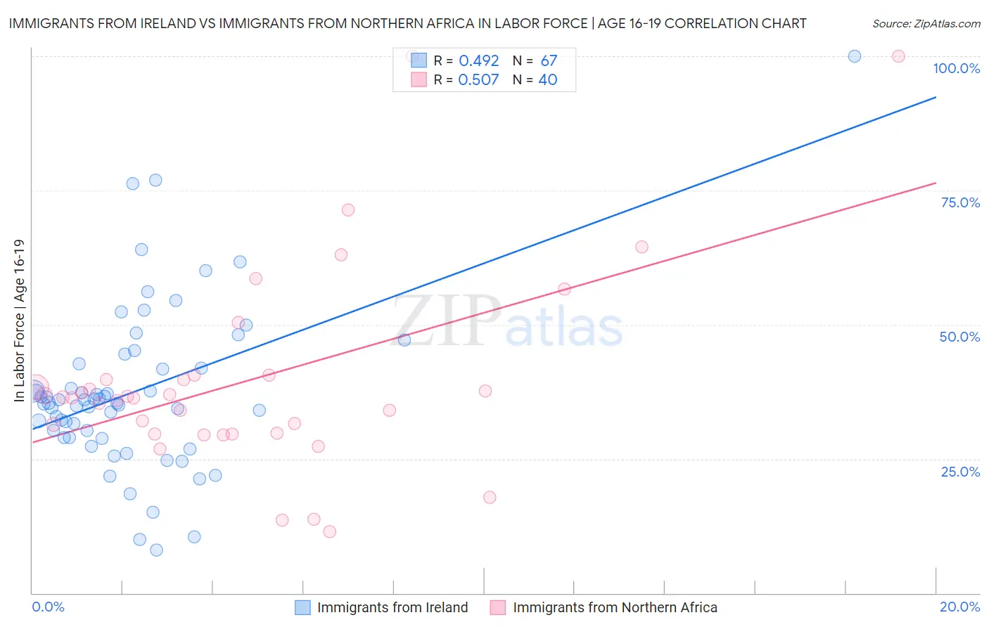 Immigrants from Ireland vs Immigrants from Northern Africa In Labor Force | Age 16-19